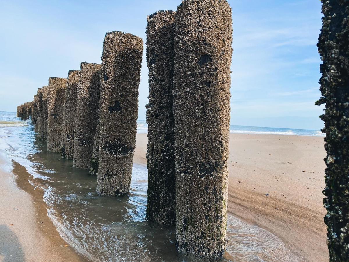 Vakantiehuis Domburg Do33 מראה חיצוני תמונה